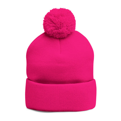 Beanie Hat - Don't Let Fall Sneak Up on You - Embroidered Pom-Pom Knit Cap