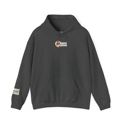🔥 Sweet Jesus Hoodie – "I Saw That!" 🔥